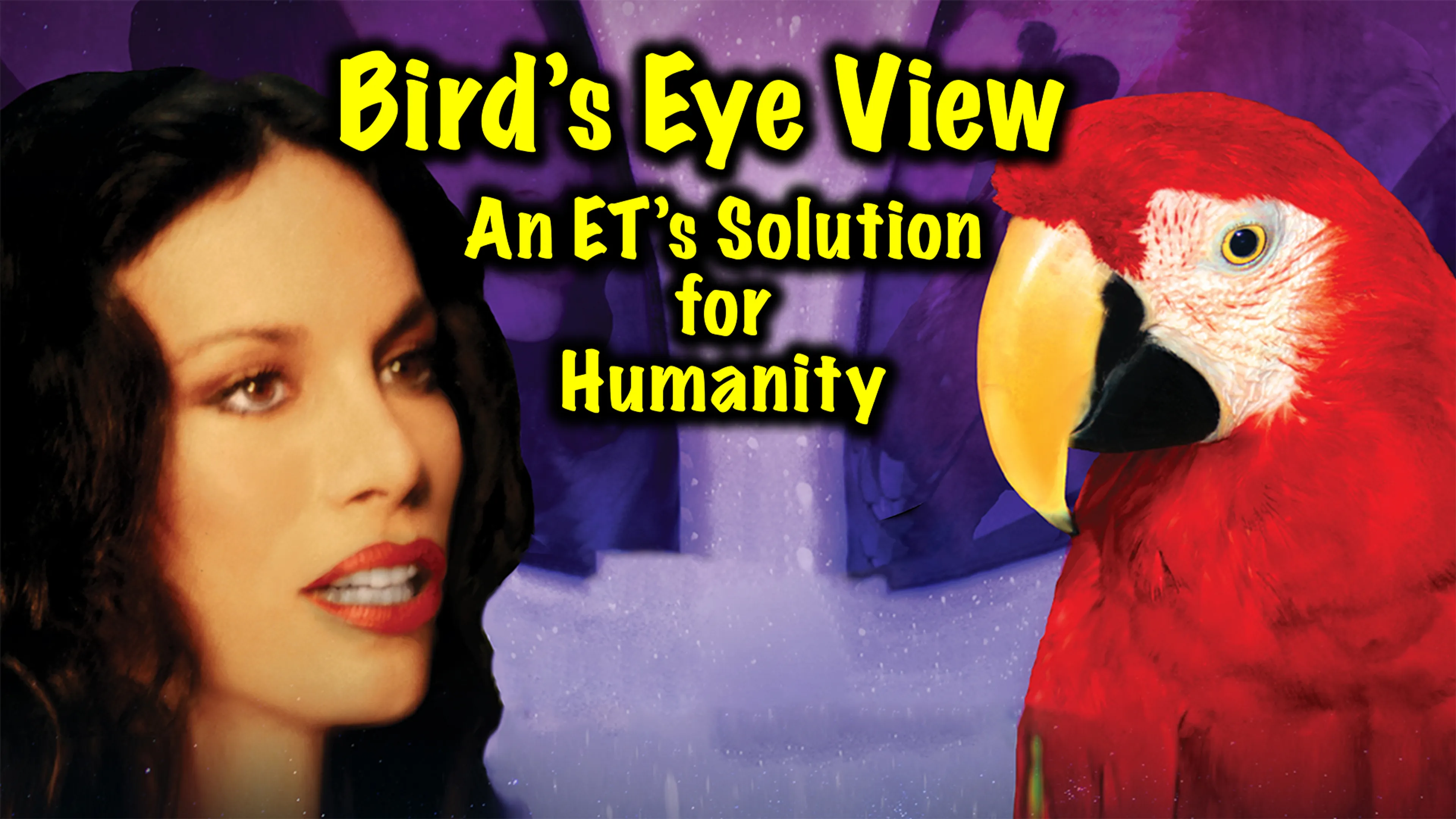 Bird's Eye View - An ET's Solution for Humanity. poster